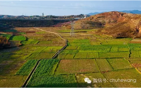 【自然有道理】農(nóng)業(yè)部喊話：土壤亞健康，要配方施肥和增施有機(jī)質(zhì)